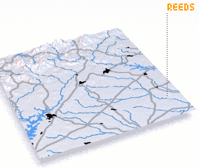 3d view of Reeds