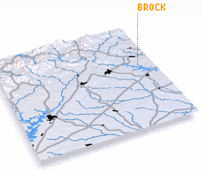 3d view of Brock