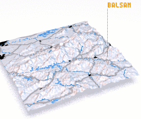 3d view of Balsam