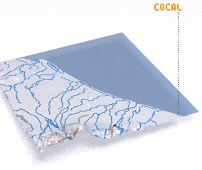 3d view of Cocal