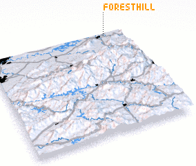 3d view of Forest Hill