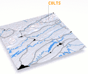 3d view of Colts