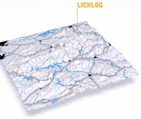 3d view of Licklog