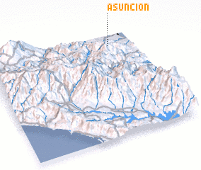 3d view of Asunción