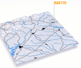 3d view of Martin