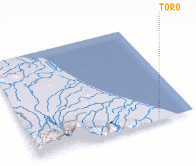 3d view of Toro