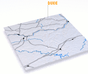 3d view of Duke