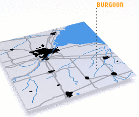 3d view of Burgoon