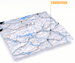 3d view of Savannah