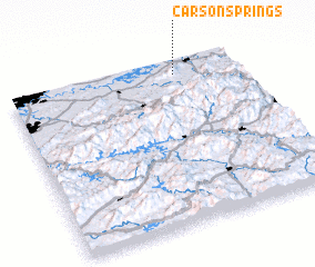 3d view of Carson Springs