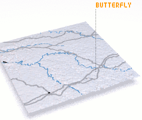 3d view of Butterfly