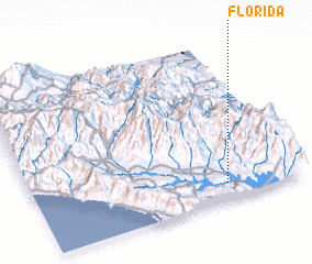 3d view of Florida