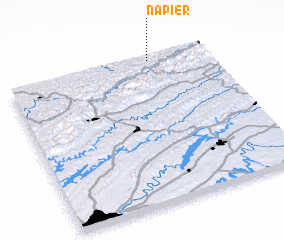 3d view of Napier