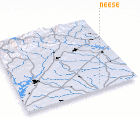 3d view of Neese