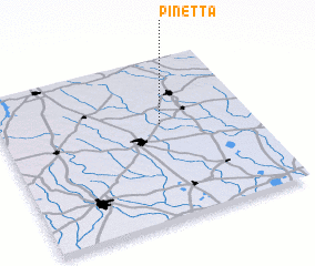 3d view of Pinetta