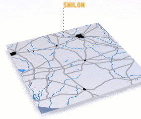 3d view of Shiloh