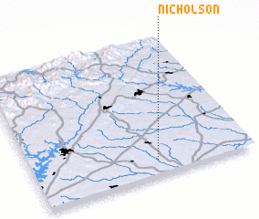 3d view of Nicholson