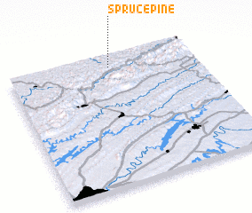 3d view of Spruce Pine