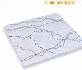 3d view of Shoulderblade