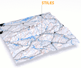 3d view of Stiles