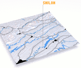 3d view of Shiloh