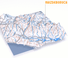 3d view of Maíz de Boruca