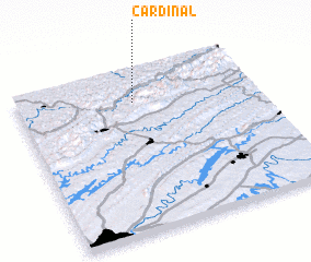 3d view of Cardinal