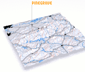 3d view of Pine Grove
