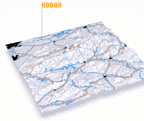 3d view of Kodak