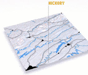 3d view of Hickory