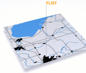 3d view of Flint