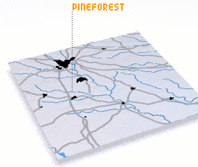 3d view of Pine Forest