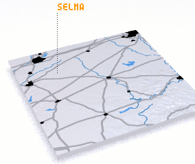 3d view of Selma