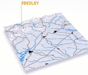 3d view of Presley