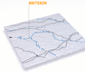 3d view of White Ash