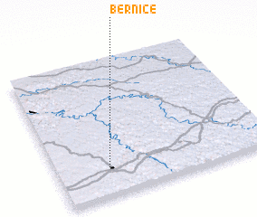 3d view of Bernice