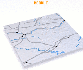 3d view of Pebble