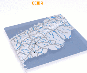 3d view of Ceiba