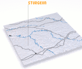 3d view of Sturgeon