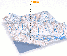 3d view of Ceibo