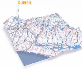 3d view of Purisil