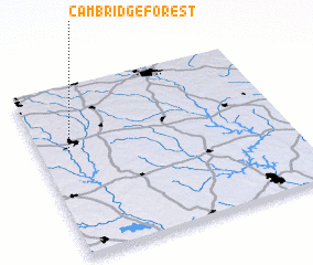 3d view of Cambridge Forest