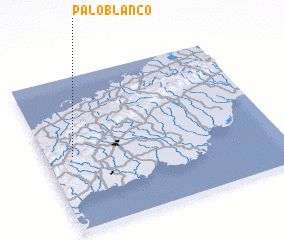 3d view of Palo Blanco