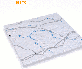 3d view of Pitts