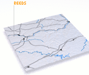 3d view of Reeds