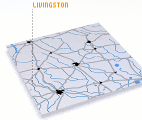 3d view of Livingston