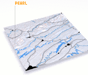 3d view of Pearl
