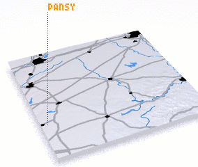 3d view of Pansy