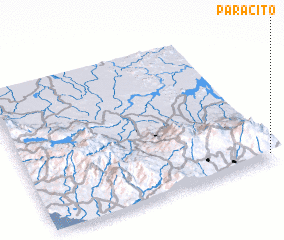 3d view of Paracito