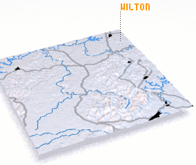 3d view of Wilton